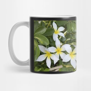 Plumeria Flowers Mug